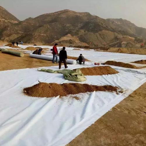 养护土工布价格